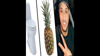 Toilet Ananas Nasdas (Tiktok Meme Compilation)