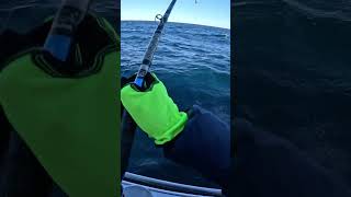 November Pollock Fishing #fishing #cod #deepseafishing