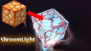 Real Life Shroom Light From Minecraft