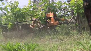 Lavorazioni nei filari/Working in the rows