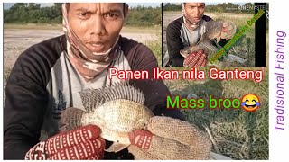 brajang/anco Ikan Nila daapat banyak...