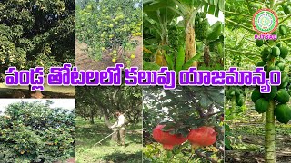 పండ్ల తోటలలో కలుపు యాజమాన్యం Integrated Weed management in orchards II PJTSAU II