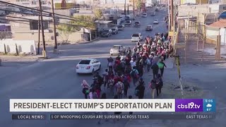 Trump gives insight on mass deportation plan