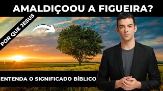 Por que Jesus amaldiçoou a figueira? Entenda o significado bíblico dessa história