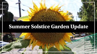 Summer Solstice Garden Update