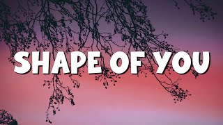 Shape of You - Ed Sheeran (Lyrics) || Charlie Puth, Shawn Mendes, Ellie Goulding (Mix)