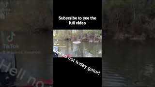 Alligator charges after boat ! #shorts #attack #hellnaw #like #subscribe #scary #fishing #thick