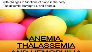 what is the difference between thalassemia, heamophilia and anemia?