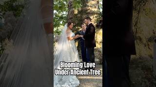 Saying ‘I Do’ Beneath an Ancient Tree in Full Bloom 🌸