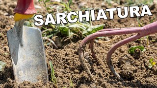 La Sarchiatura in orto di pomodori zucchine e cipolle