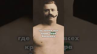 Ива́н Подду́бный русский медведь #факт #факты #история #history #интересныефакты