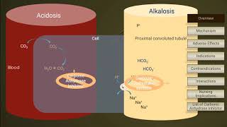 Carbonic Anhydrase Inhibitors