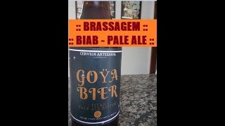 #2ª Brassagem BIAB Passo a Passo Como Fazer Cerveja Artesanal Pale Ale - Rodrigo Goya