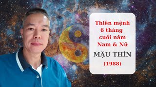 Thiên mệnh Nam - Nữ tuổi Mậu Thìn 6 tháng cuối năm 2021 - Tân Sửu