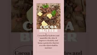 What does Cocoa butter do to your skin?