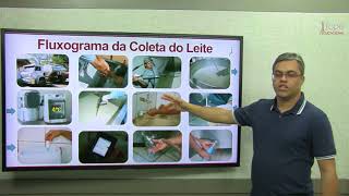 Combo Preparação Permanente Vet - Insp e Tec de Leite