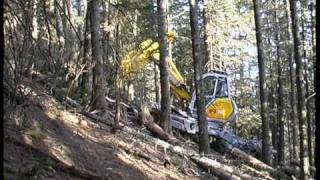 Durchforstung im Steilhang - Thinning works in steep slope Menzi Muck Harvester A91