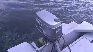 Custom aluminum flounder boat 90hp yamaha