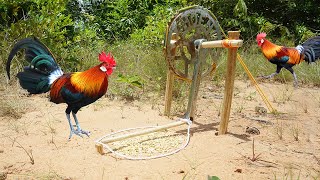 Awesome Quick Easy Wild Chicken Trap Using Bike Crank With Wood