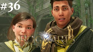 Hogwarts Legacy #36 || PS4 || We Cannot Afford To Lose The Snidgets Once Again