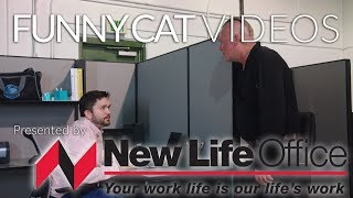 New Life Office Presents "Funny Cat Videos"