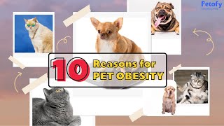 Pet Obesity awareness. #petcare #pethealth