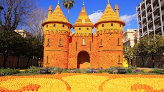 Amazing Lemon Festival (Fête du Citron), Côte d'Azure