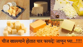 चीज खाल्ल्याने होतात चार फायदे! जाणून घ्या...!!!!There are four benefits to eating cheese