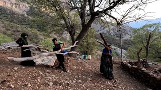 Bringing_wood from the_forest to put on the roof of the_cottage_nomadic_lifestyle Iran2023