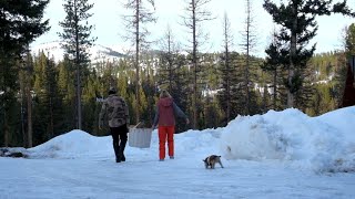 Homesteading Couple Builds Fire inside a Montana Log Cabin (ASMR)