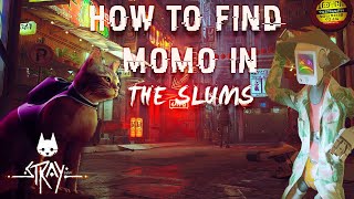 Stray - How to find Momo Location