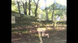 Cathkin Park gates