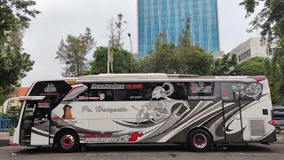 Tanpa Pak Bero Tetap Kencang 🔥| Trip Po.Haryanto HM065 “ Paradise “ Kudus - Bekasi