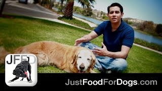 Dr. Oscar Chavez, His Dog Rey and JustFoodForDogs | Just Food For Dogs