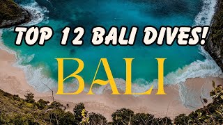 Unbelievable Bali Dives! Top 12 Hidden Gems You MUST See!