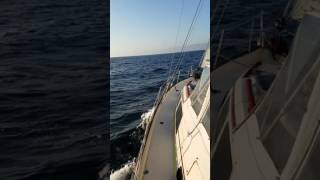 Stamas 44 - Channel Islands to Santa Barbara