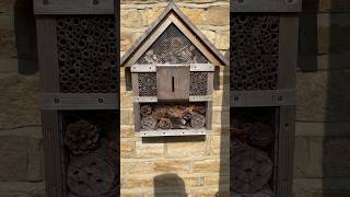 Bug hotel is filling up