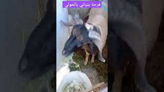 افرحوا أيها الأطفال، فإنّ العيد ينعش القلب، ويسعد الروح، ويملأ الدنيا فرحًا وسرورًا.