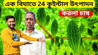 করলা চাষ এক বিঘাতে 24 কুইন্টাল উৎপাদন।