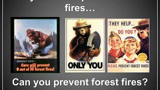 Lecture 8   Forest Protection Part 3 Video