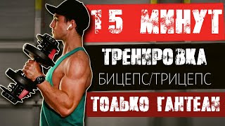 ТРЕНИРОВКА РУК ЗА 15 МИНУТ - только гантели | Фрейзер Уилсон