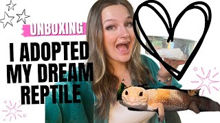 I ADOPTED MY DREAM REPTILE! | Unboxing African Fat Tailed Gecko