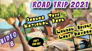 Road Trip 2021: Joshua Tree National Park & London Bridge, Lake Havasu - on the way to Grand Canyon