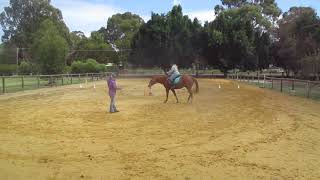 dressage striking off at the canter on Bailey