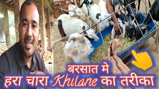 Aise Khilate Hai Hara Chara|Vimalumrao