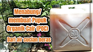 Menabung atau Membuat pupuk organik cair (POC) dari Air Cucian Beras