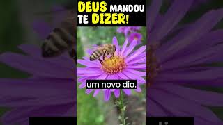 Deus Mandou te Dizer! Linda Mensagem de Deus para você hoje #shortvideo #shorts