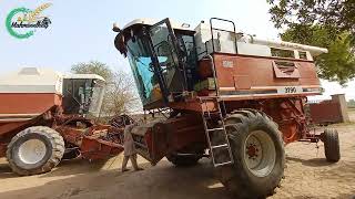 Harvester preparations of corn|leverda Fiatagri 3650|leverda Fiatagri 3790