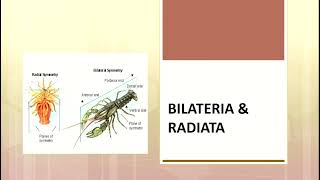 BILATERIA AND RADIATA #iasexam #biologyclass11th #zoology #neet2023