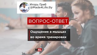 Ощущения в мышцах во время тренировки